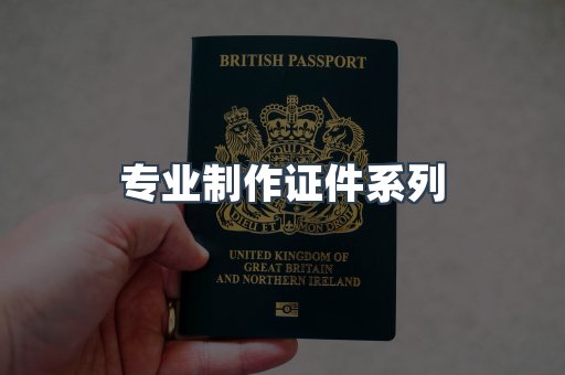 专业制作证件系列